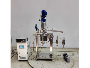 1L不銹鋼手動升降實驗釜已完工發(fā)往孟加拉