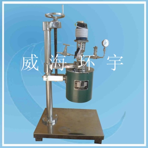 0.1L Lift and Flip Reactor